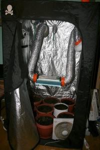 Slika Droga/droga-kozala (1).jpg